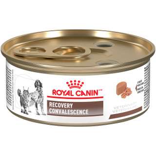 Royal Canin Veterinary Diet Feline & Canine Recovery Rs Canned Cat Food & Canned Dog Food